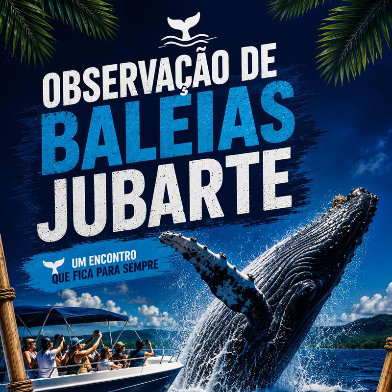 Descubra os Gigantes do Atlântico!